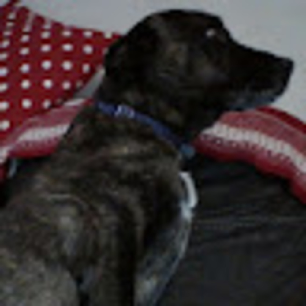 Meet your Posher, Olivia